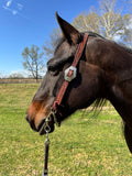 The 6” Open Horse bit