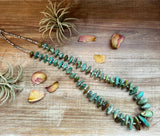 34-Inch Natural Shell & Turquoise Nugget Necklace
