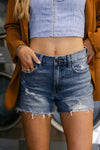 SALE The Delly Denim Shorts