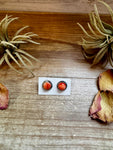 Spiny Oyster Stud Earrings – Sterling Silver