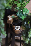 Cow Head Dough Bowl Candle