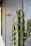 Rancho Pearl Bracelets