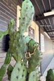 DS Hey Cowboy Necklaces - Dixies Western Wear 