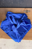 Wynonna Wild Rags/ Scarves - Dixies Western Wear 