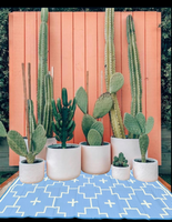 BLUE + IVORY - 6ft x 9ft - RANCH RUGS  -LAJITAS DESIGN-
