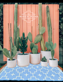 BLUE + IVORY - 6ft x 9ft - RANCH RUGS  -LAJITAS DESIGN-