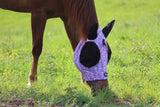 Dash for Cash (Purple) Fly Mask - Dixies Western Wear 