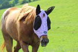 Dash for Cash (Purple) Fly Mask - Dixies Western Wear 