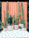 BLUE + IVORY - 6ft x 9ft - RANCH RUGS  -LAJITAS DESIGN-